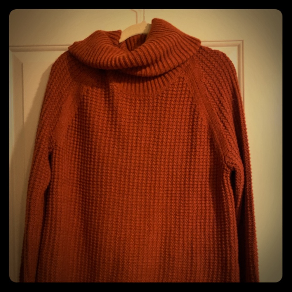 Rusty orange cowl turtleneck